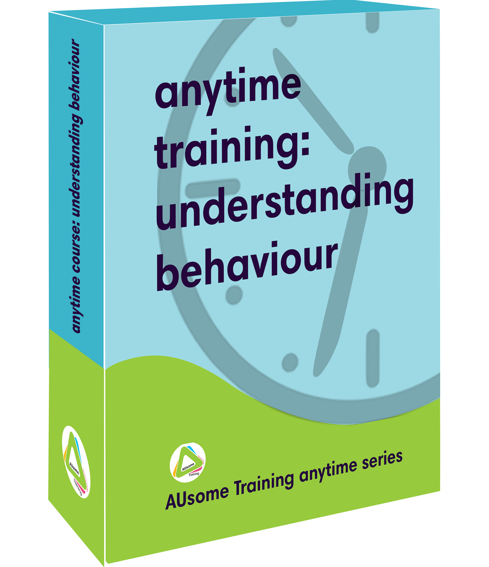 Anytime Training: Understanding Behaviour