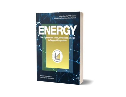 Energy: The Framework book cover — tools & strategies for regulation and energy management